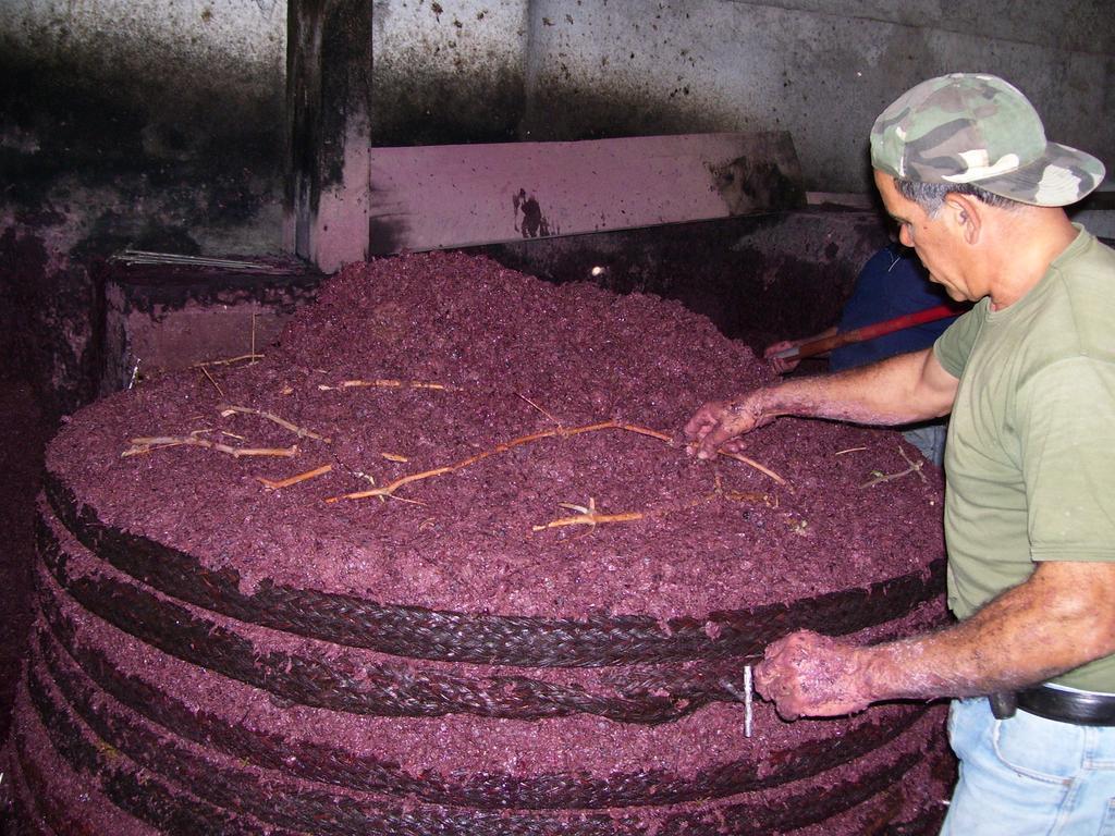 Etna Wine Azienda Agrituristica Passopisciaro Dış mekan fotoğraf