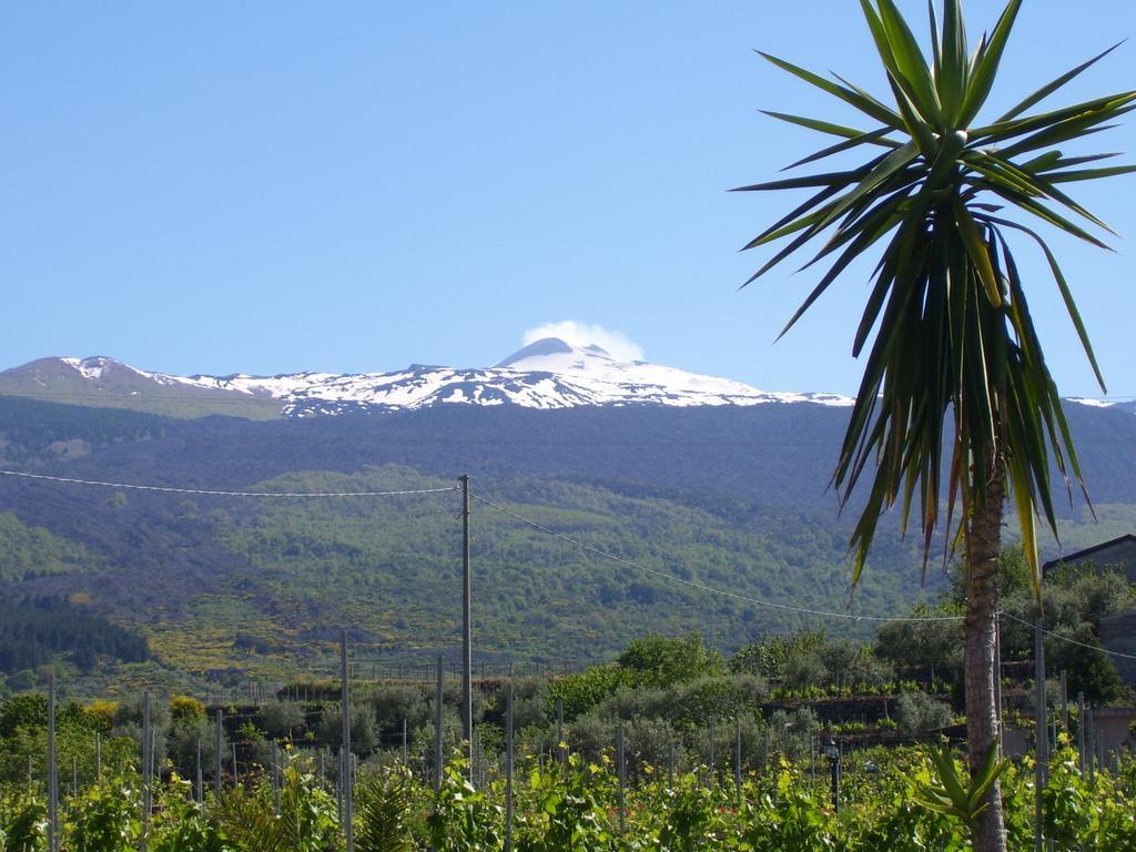 Etna Wine Azienda Agrituristica Passopisciaro Dış mekan fotoğraf