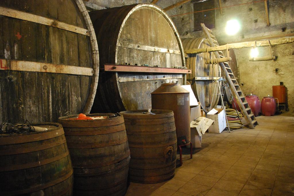 Etna Wine Azienda Agrituristica Passopisciaro Dış mekan fotoğraf